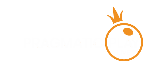 ویزا partner logo